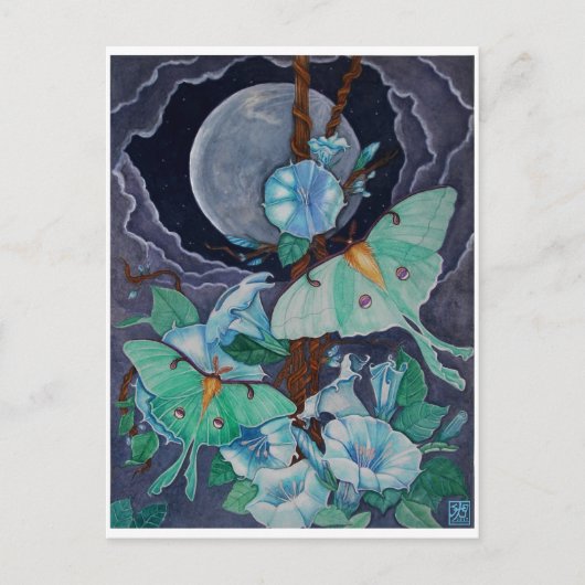 Vida de la Luna Postkarte (Vorderseite)