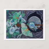 Vida de la Luna Postkarte (Vorderseite)