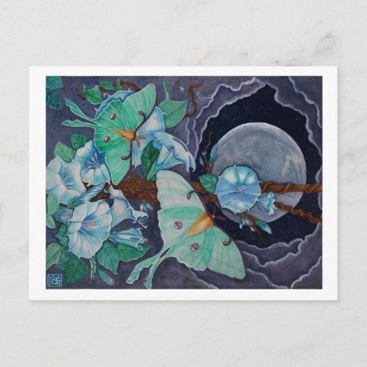 Vida de la Luna Postkarte (Vorderseite)