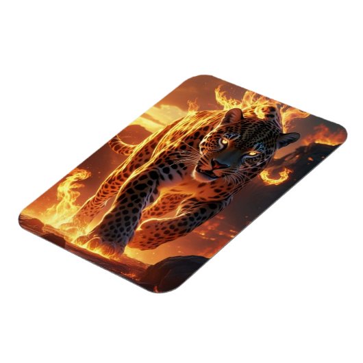 vida..... magnet (Linke Seite)