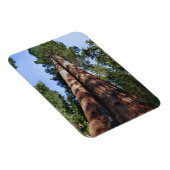 Videotaping von Frauen an der Basis massiver Sequo Magnet (Rechte Seite)