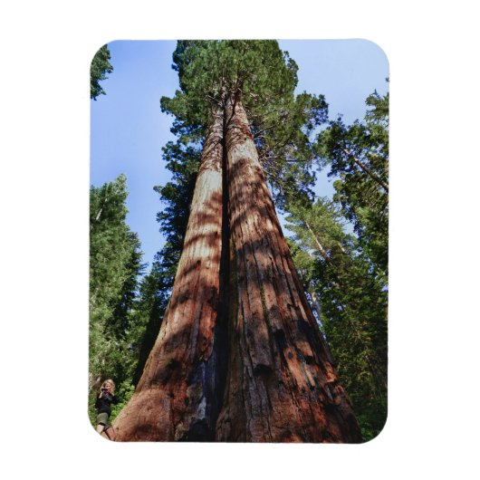 Videotaping von Frauen an der Basis massiver Sequo Magnet (Vertikal)