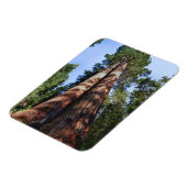 Videotaping von Frauen an der Basis massiver Sequo Magnet (Linke Seite)