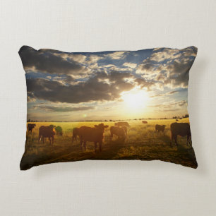 Vieh auf dem Gebiet, Sonnenuntergang Dekokissen