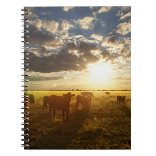 Vieh auf dem Gebiet, Sonnenuntergang Notizblock