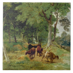 Vieh auf einem Devonshire Weg Fliese