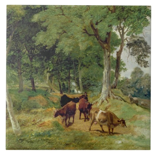 Vieh auf einem Devonshire Weg Fliese (Vorderseite)