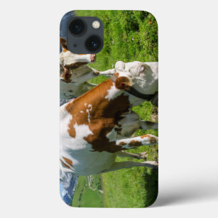 Vieh auf hoher Weide in Karwendel Berg 2 Case-Mate iPhone Hülle