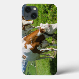 Vieh auf hoher Weide in Karwendel Berg 2 Case-Mate iPhone Hülle