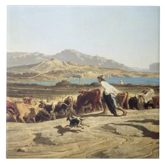 Vieh, das nahe Marseille, 1853 in Herden lebt (Öl Fliese (Vorderseite)