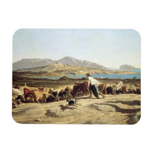 Vieh, das nahe Marseille, 1853 in Herden lebt (Öl Magnet