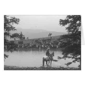 Vieh durch einen Teich mit zwei Cowboys