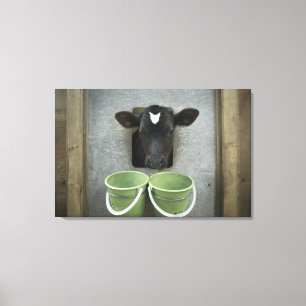 Vieh, einzelner Stift Leinwanddruck