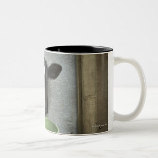 Vieh, einzelner Stift Zweifarbige Tasse