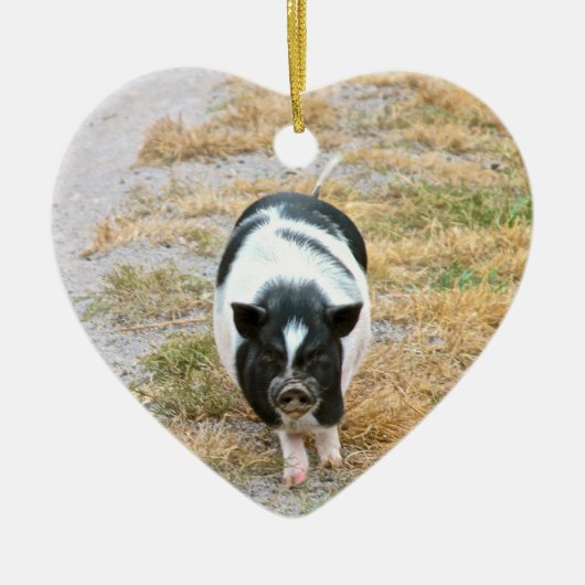 Vieh-Foto des Dickbauch-Schwein-| niedliches Keramikornament (Vorne)