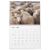 Vieh-Fotografie-Kalender Kalender (Mär 2026)