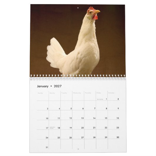 Vieh-Fotografie-Kalender Kalender (Jan 2027)