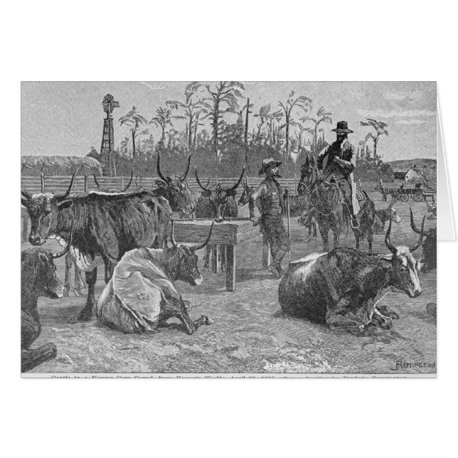 Vieh in einer Kansas-Mais-Hürde (Vorderseite (Horizontal))