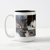 Vieh-Kaffee-Tasse Zweifarbige Tasse (Links)