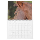 Vieh Kalender (Jan 2027)