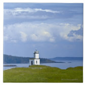 Vieh-Punkt-Leuchtturm auf San- Juaninsel, WA Fliese (Vorderseite)