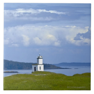 Vieh-Punkt-Leuchtturm auf San- Juaninsel, WA Fliese