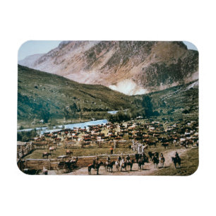 Vieh-Ranch, Colorado, 1899 (Foto) Magnet