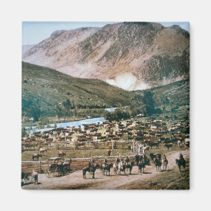 Vieh-Ranch, Colorado, 1899 (Foto) Magnet