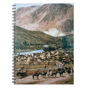 Vieh-Ranch, Colorado, 1899 (Foto) Notizblock