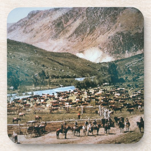 Vieh-Ranch, Colorado, 1899 (Foto) Untersetzer (Vorderseite)