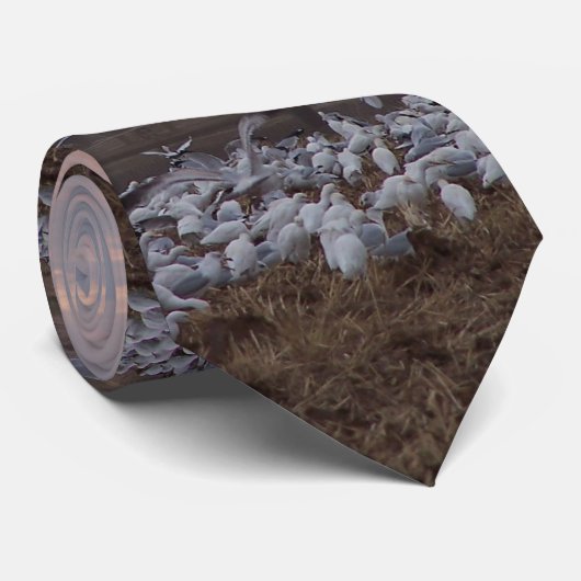 Vieh-Reiher u. Traktor-Krawatte Krawatte (Gerollt)