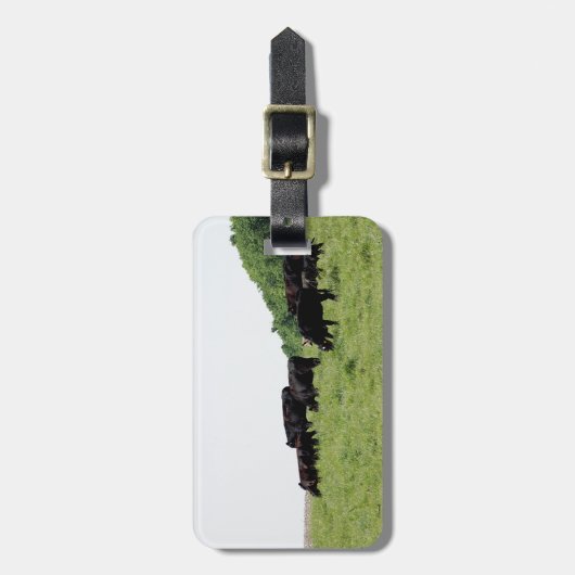 Vieh schwarzes Angus Gepäckanhänger (Vorderseite vertikal)