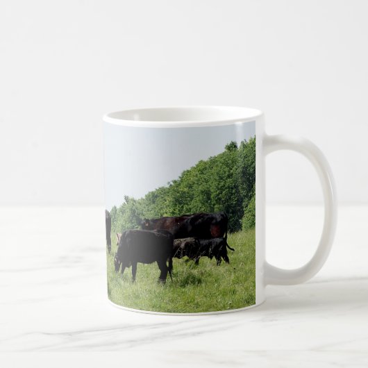 Vieh schwarzes Angus Kaffeetasse (Rechts)