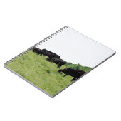 Vieh schwarzes Angus Notizblock (Linke Seite)