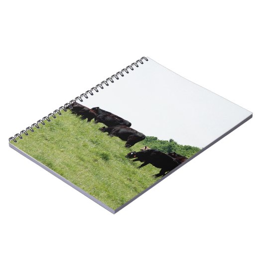 Vieh schwarzes Angus Notizblock (Linke Seite)