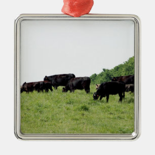 Vieh schwarzes Angus Ornament Aus Metall