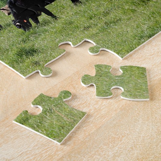 Vieh schwarzes Angus Puzzle (Seite)
