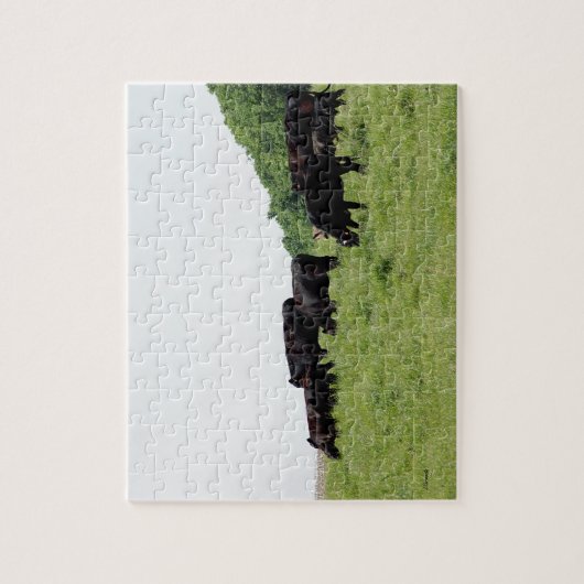 Vieh schwarzes Angus Puzzle (Vertikal)