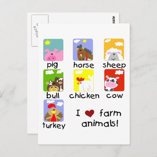 Vieh-T-Shirts und Geschenke Postkarte (Vorne/Hinten)