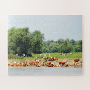 Vieh und der Fluss Donau Puzzle