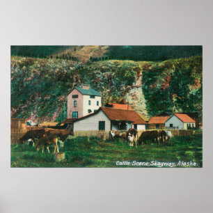 Vieh unter Scheunen SceneSkagway, AK Poster
