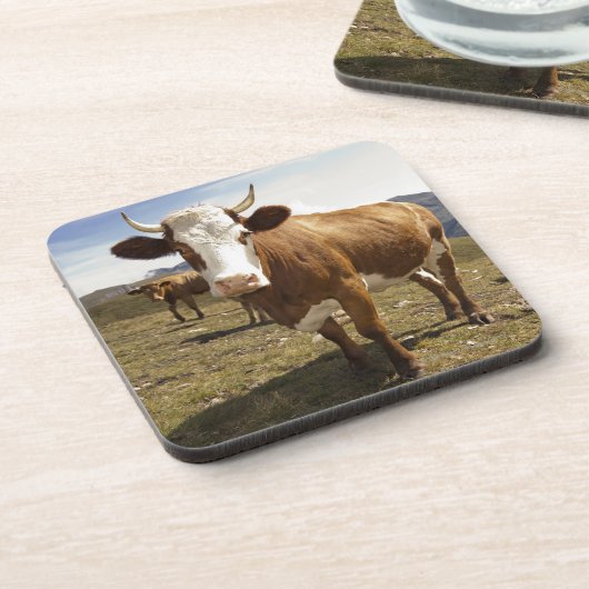 Vieh Untersetzer (Linke Seite)