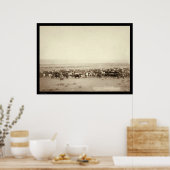 Viehbestand auf Moss Agate SD 1887 Poster (Küche)