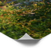 Vieheim Poster (Ecke)