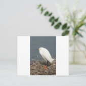 Viehhaufen Postkarte (Stehend Vorderseite)