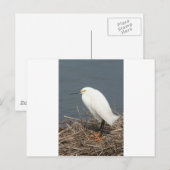 Viehhaufen Postkarte (Vorne/Hinten)