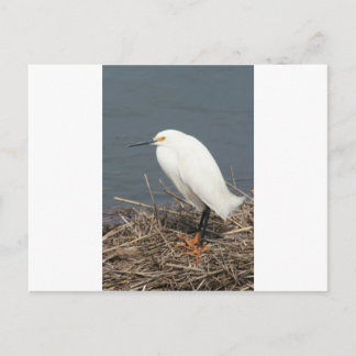 Viehhaufen Postkarte
