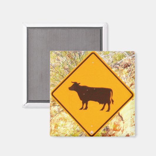 Viehkreuz Magnet (Vorderseite/Rückseite)