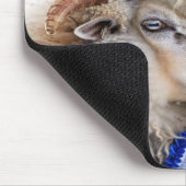 Viehschau-Schaf-Foto-Anpassung Mousepad (Ecke)