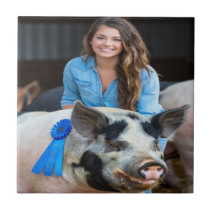 Viehschau Schweine Foto Anpassen Fliese